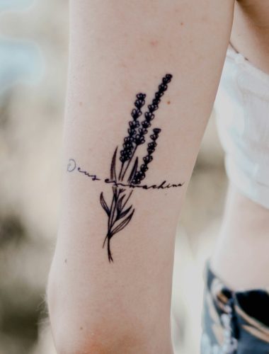 TKTX 75% Oferta specjalna photo review